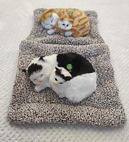 "Кошка с котенком" во Гатчине